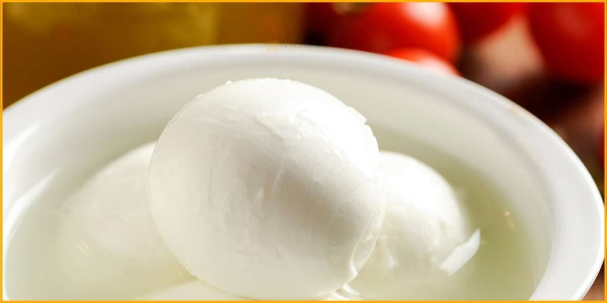 come-conservare-la-mozzarella-in-estate-1200x600